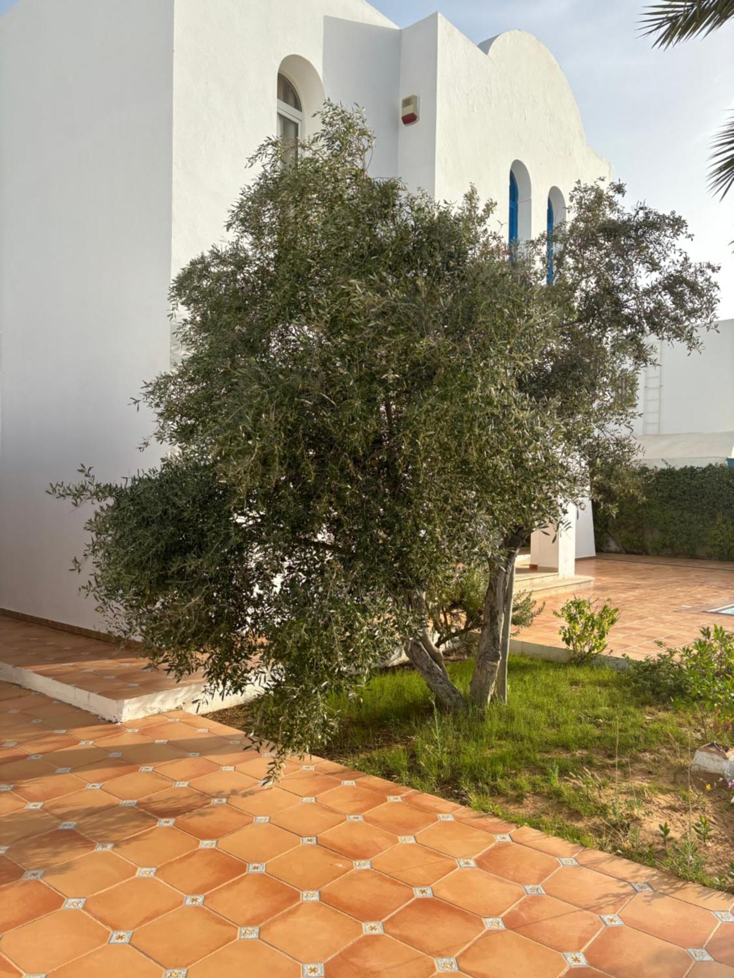 Villa Hekma By El Kateb